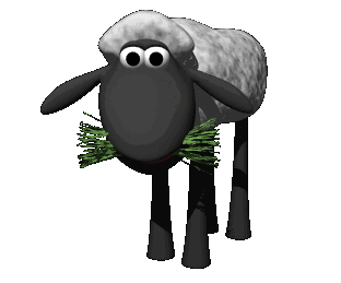 Sheep